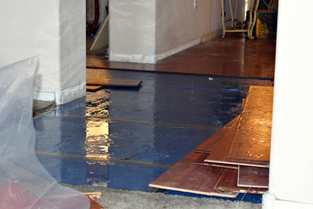 Professional Basement Water Removal technician working in Freeport, ME