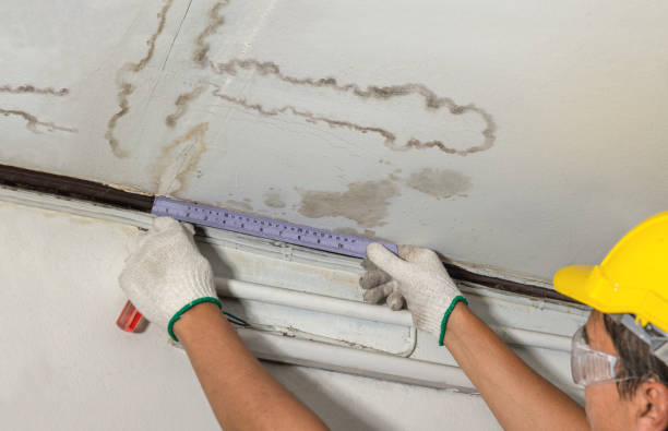 Reliable Basement Water Removal contractor in Freeport, ME by Water Damage Irwin